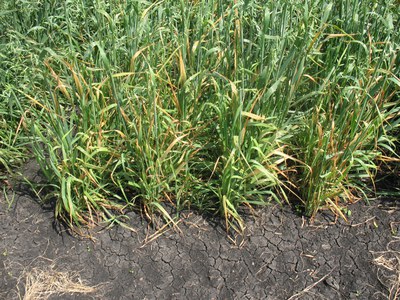 1e25a30c-c6bd-4738-a041-af7e0c9cde7a