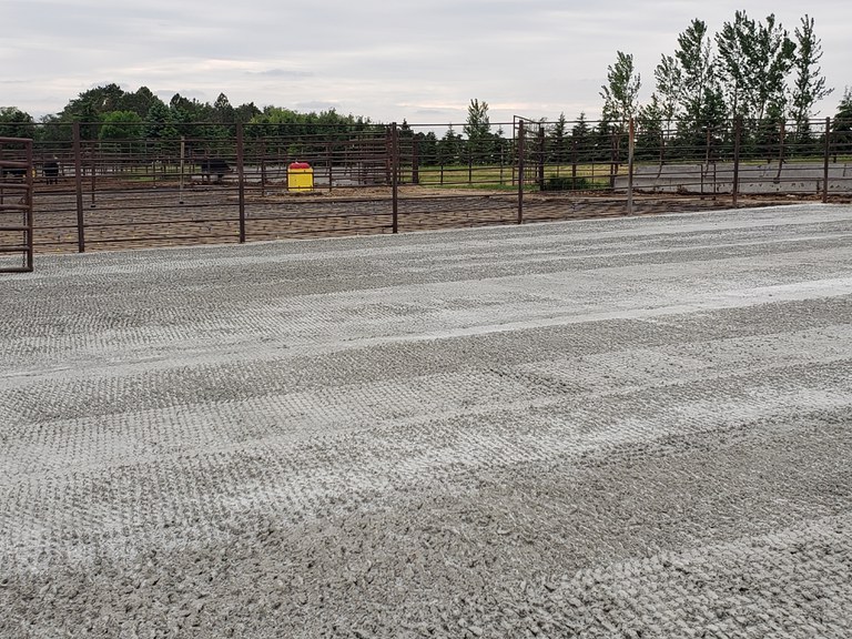 线上赌博app Carrington Research Extension Center