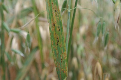 8a2c17f6-2352-42a8-843e-919eb50e9f09