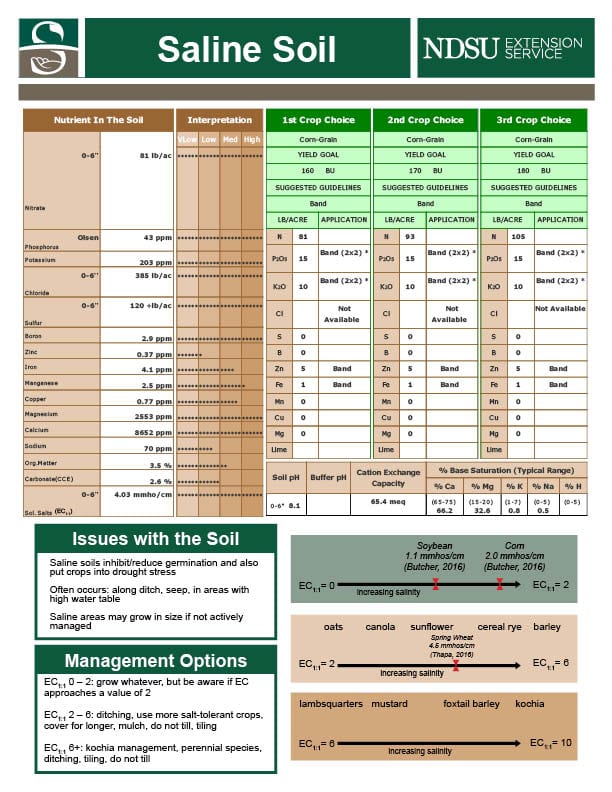Saline Soil Data