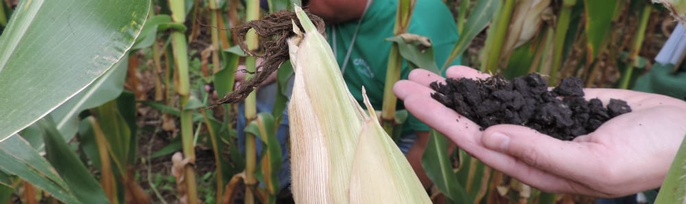 Soilhealthandlanduse_12334