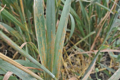 aed5ac08-544c-4c81-a5c2-05b9626631f3