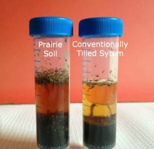 Available Organic Matter