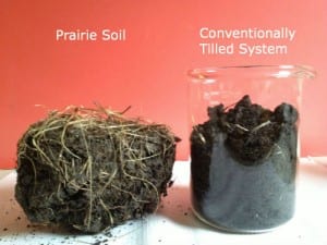 Structure/Aggregation