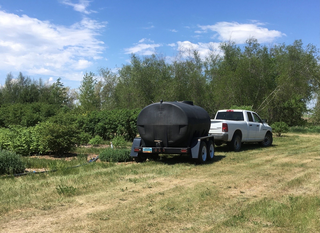 Water tank in orchard