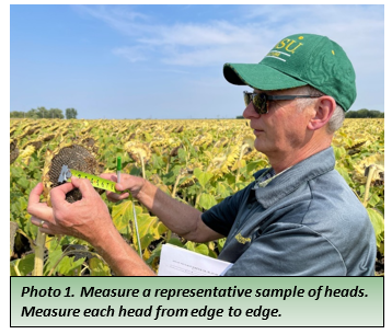 Measure a representative sample of heads. Measure each head from edge to edge.png