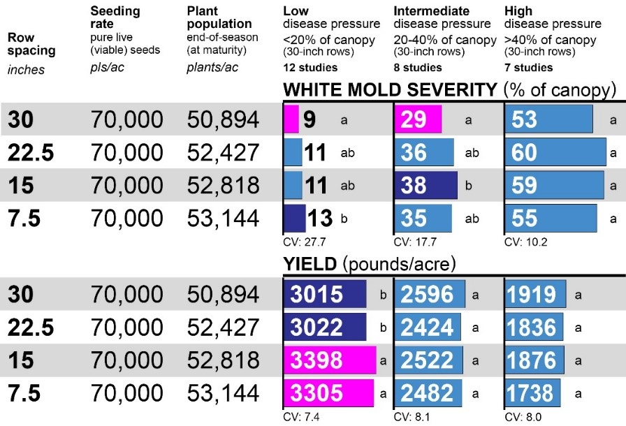 Impact of row spacing on white mold severity and yield in pinto beans from Carrington and Oakes, ND (2019-2020) with varying fungicide treatments.