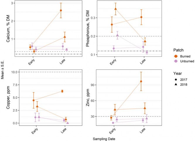 four graphs showing average mineral concentration of forage in burned and unburned patches of pasture