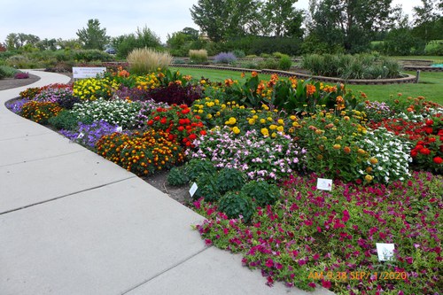 Garden beds showcase All-America Selections winners at the 线上赌博app Horticulture Research & Demonstration Gardens.