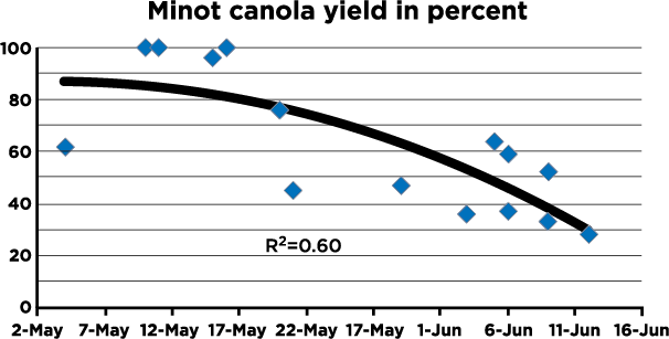 At Minot, canola yield potential decreased more rapidly after the optimum seeding date (early May) as planting dates were delayed.