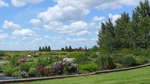 Plant beds at the 线上赌博app Horticulture Research & Demonstration Gardens 