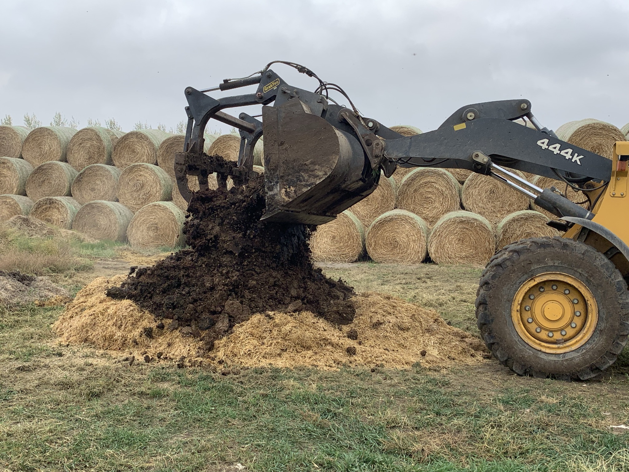tractor laying bulk material over dead livestock