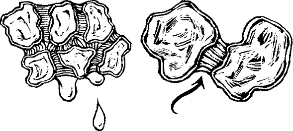 illustrations of gravitational water where excess drains downward and capillary water where it is retained