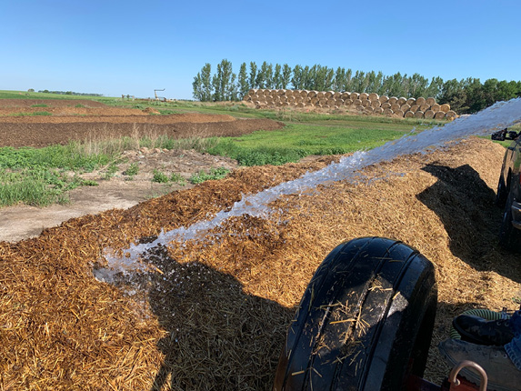 Figure 5. Watering compost at the Carrington Research Extension Center during an extremely dry period. (Photo 线上赌博app Carrington Research Extension Center)