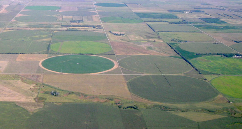 Irrigated crops shot from above