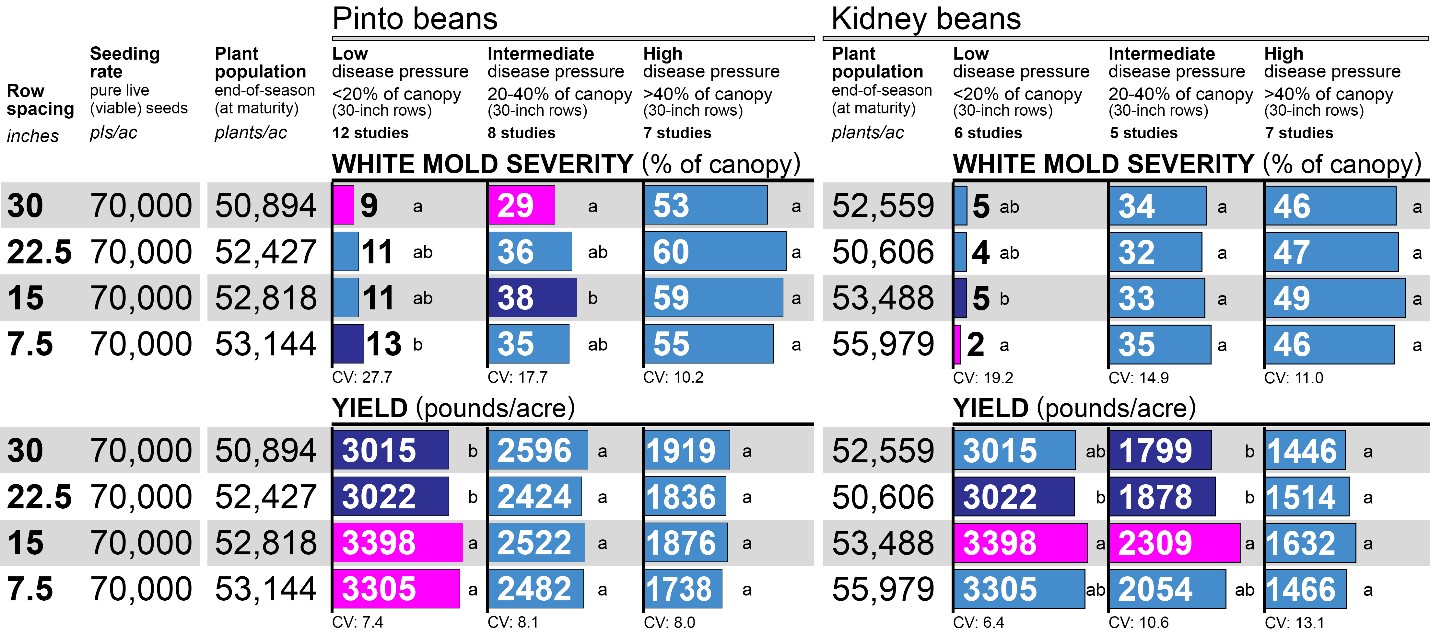 Graph showing impatof row spacing on white mold severity and yield in pinto and kidney beans.