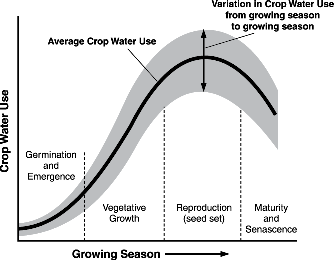 graph showing during the reproduction part of the growing season uses the most water