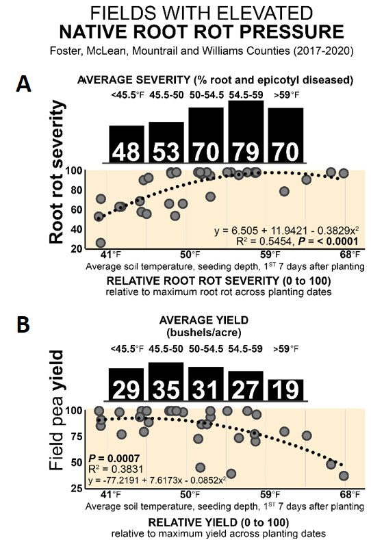 Figure 2. (A & B) Field pea A) root rot severity and B) yield vs. soil temp (2