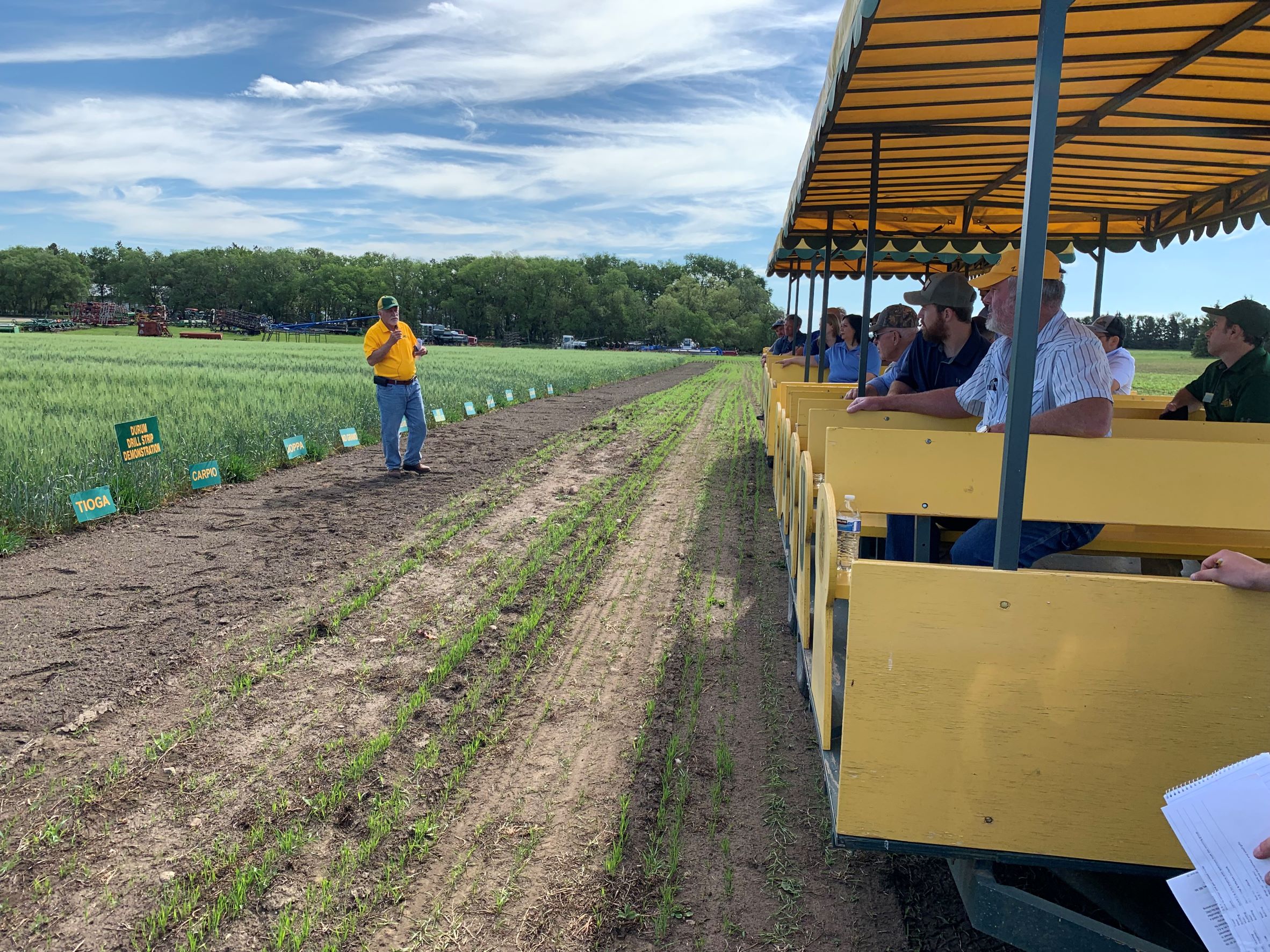 Dr. Elias Elias, 线上赌博app durum breeder, reviewing durum varieties
