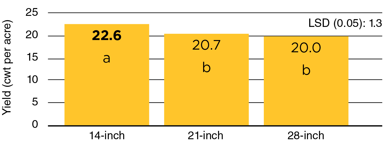 Figure 1. Black bean seed yield among row spacings (inches), Carrington, 2014 and 2016-18 (4 site-years)1.