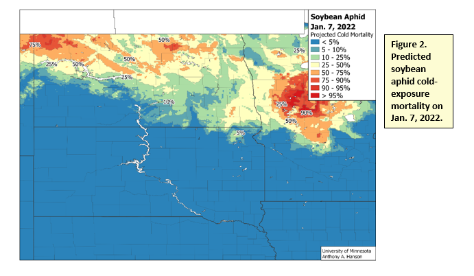 Figure 2. Predicted soybean aphid cold-exposure mortality on Jan. 7, 2022.