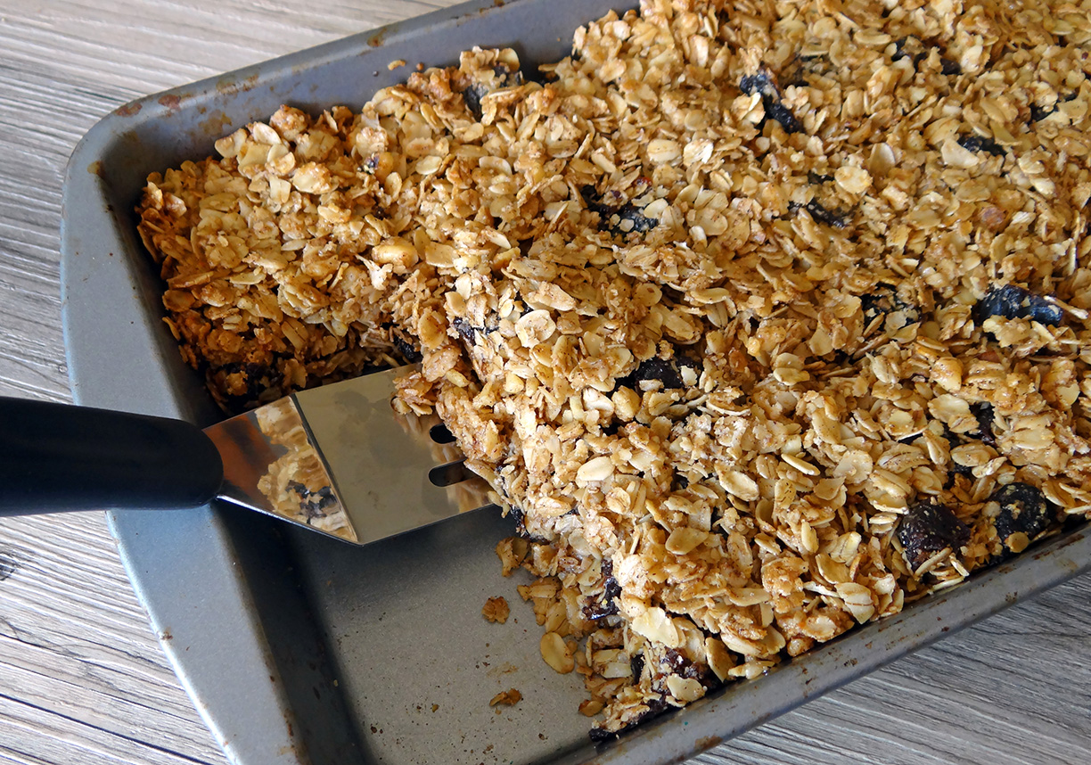 Butterscotch Plum Oat Bars