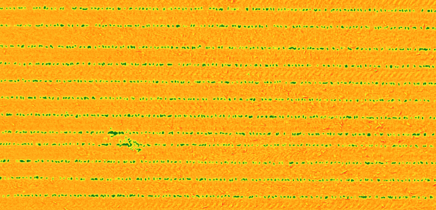 Excess Green, calculated as (2*Green) – Red – Blue, effectively identifies crops. It can be calculated using consumer drones like Mavic Air, Pro, or Phantom 4.