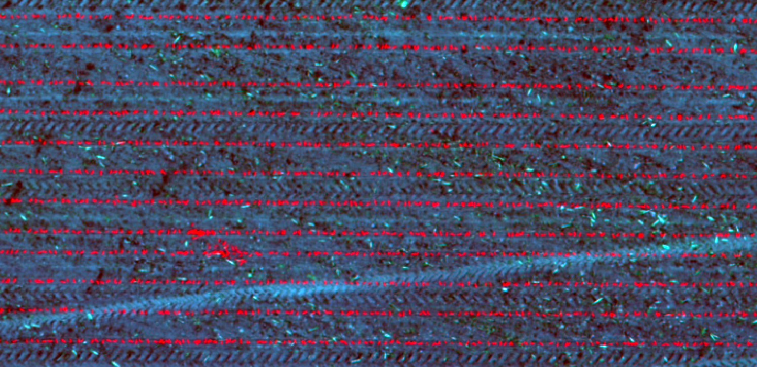 An image composite using the Excess Green index for red, red for blue, and green for green. Adjusting contrast aids image interpretation.