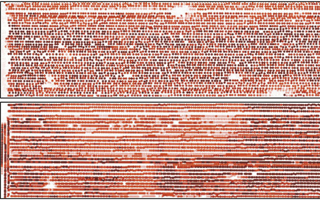 Crop raw yield monitor data.