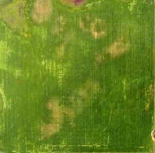 Figure 9. Aerial image of the Valley City 40-acre field taken from an airplane at 5,000 feet, using color Ektochrome film.