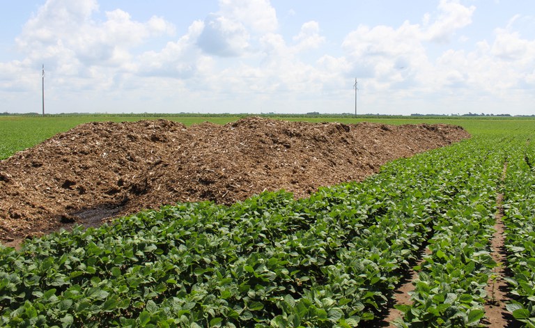 Figure 2. Piles of composted turkey with bones staged for spreading in the field. 