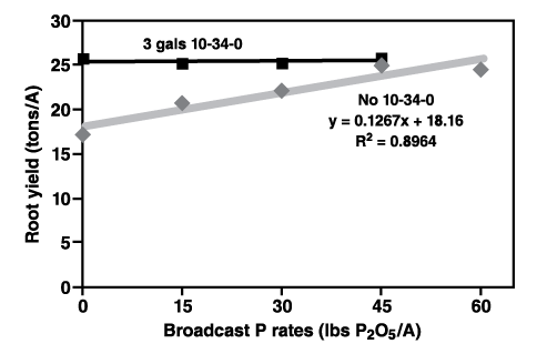 Figure 2. Sugarbeet root yield with 3 galllons/acre 10-34-0,compared with broadcast P rates. (Sims and Smith, 2003)