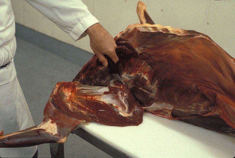 Figure 4. Removing shoulder.