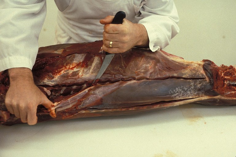 Figure 8. Removing loin.