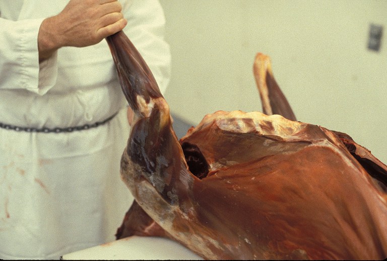 Figure 3. Removing shoulder.