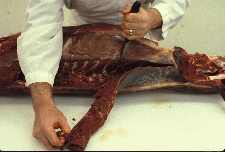 Figure 9. Removing loin.