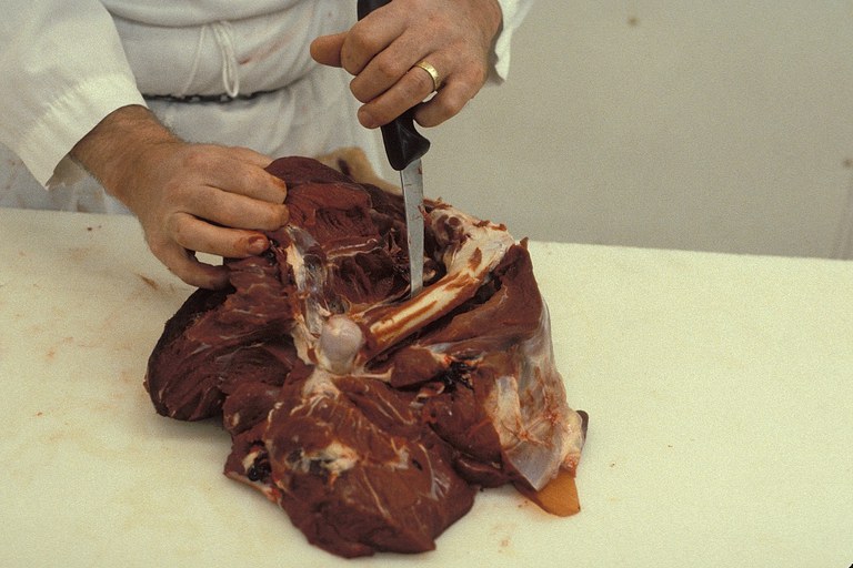 Figure 7. Boning out hind leg.