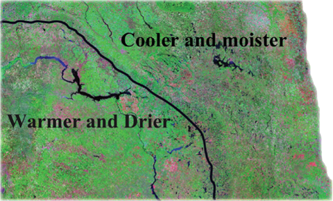 Figure 2. Climate map of North Dakota for canola production. The line separating cooler, moister areas from warmer, drier areas may shift east or west.