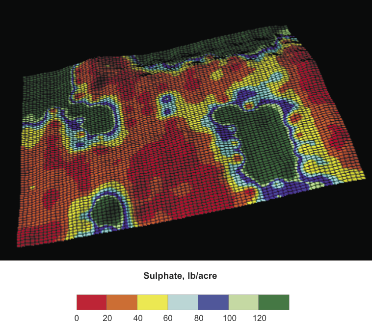 Figure 3. Sulfate-S soil levels from a 40-acre area in Valley City, N.D. (1995), sampled in a 110-ft grid. Levels range from 4 to 580 lb/A to 2 feet.