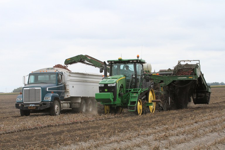 One of the critical management strategies in producing high-yield, high quality potatoes is crop nutrient availability.