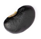 black bean