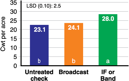 Figure 3. Pinto bean yield between broadcast and IF- or band-applied 10-34-0, Carrington, 2013-15 (three trials).*