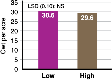 Figure 5. Pinto bean yield between rates of IF-applied 10-34-0, Carrington, 2012-14 (three trials).*