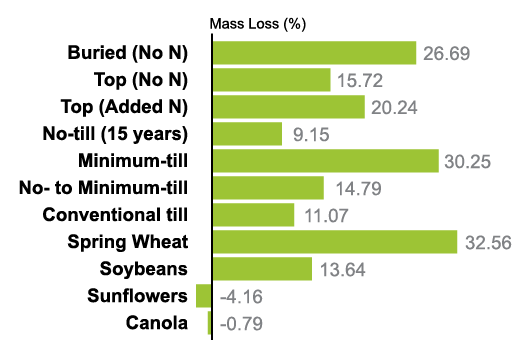 Figure 3. Average 2019 and 2020 combined effects of litterbag placement, tillage practices and crops on mass (%) loss.