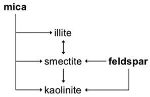 Figure 1. Depiction of mica and feldspar transformations to illite, smectite, and kaolinite, based on reviews by Allen & Hajek (1989) and Wilson (1999).