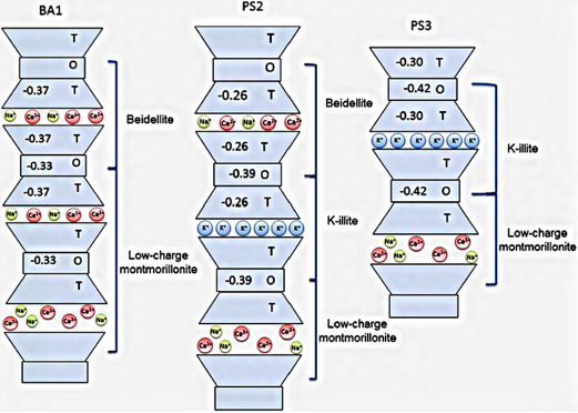 Figure 4. Schematic of smectites (montmorillonite and beidellite) and illite. 