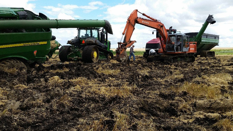 Figure 15. Digging out a buried combine harvester in the Devils Lake area, ND, during a wet fall. Soils are illite-dominant with smectite, under conventional till.