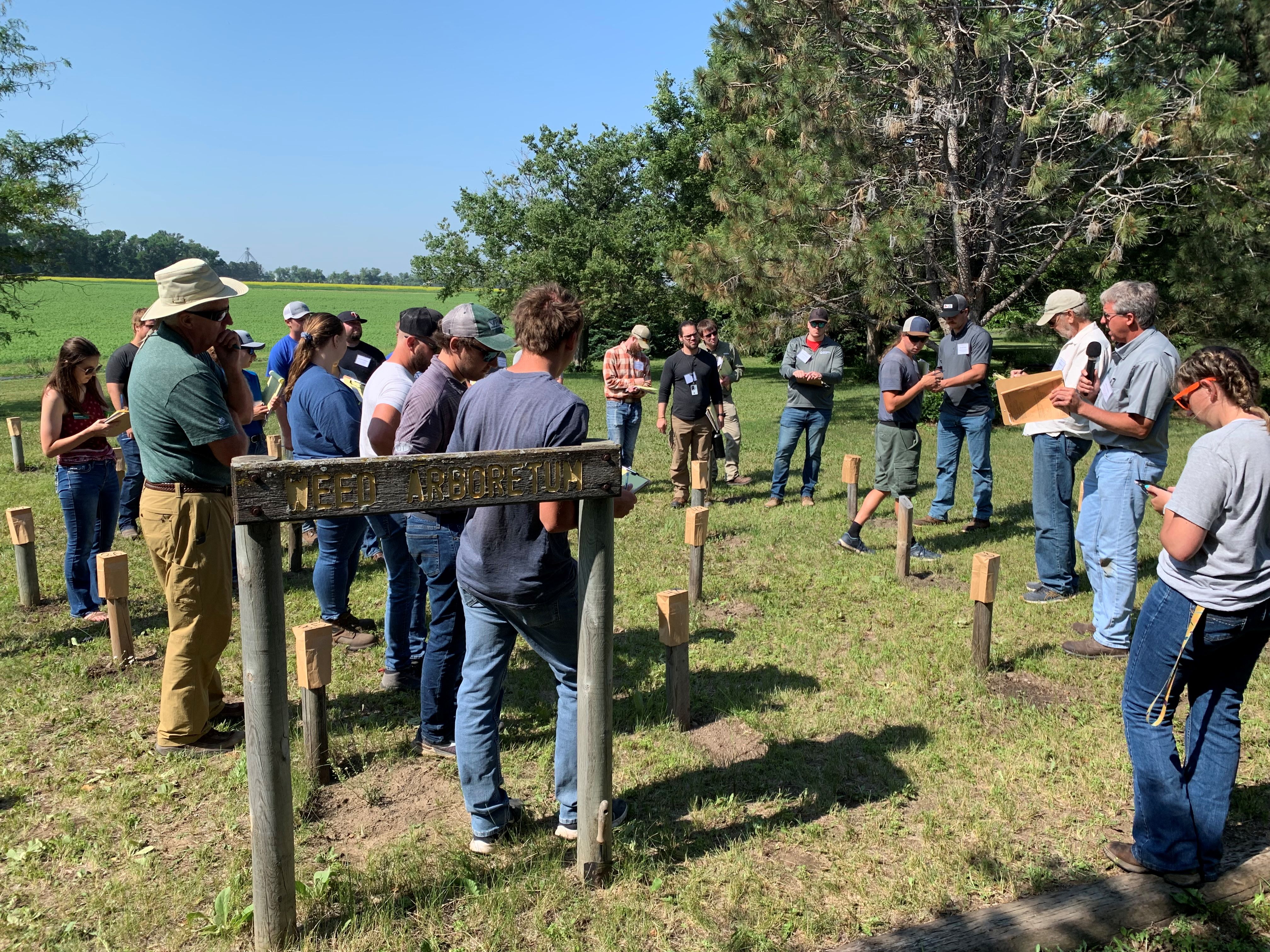 Crop advisers examine living weed exhibits
