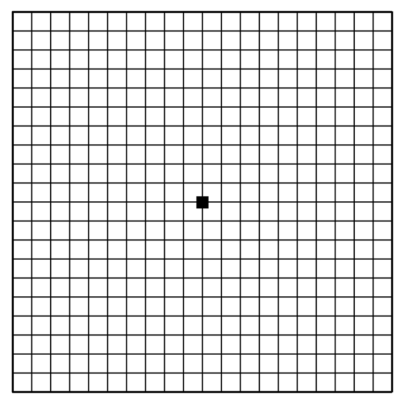 Amsler Grid