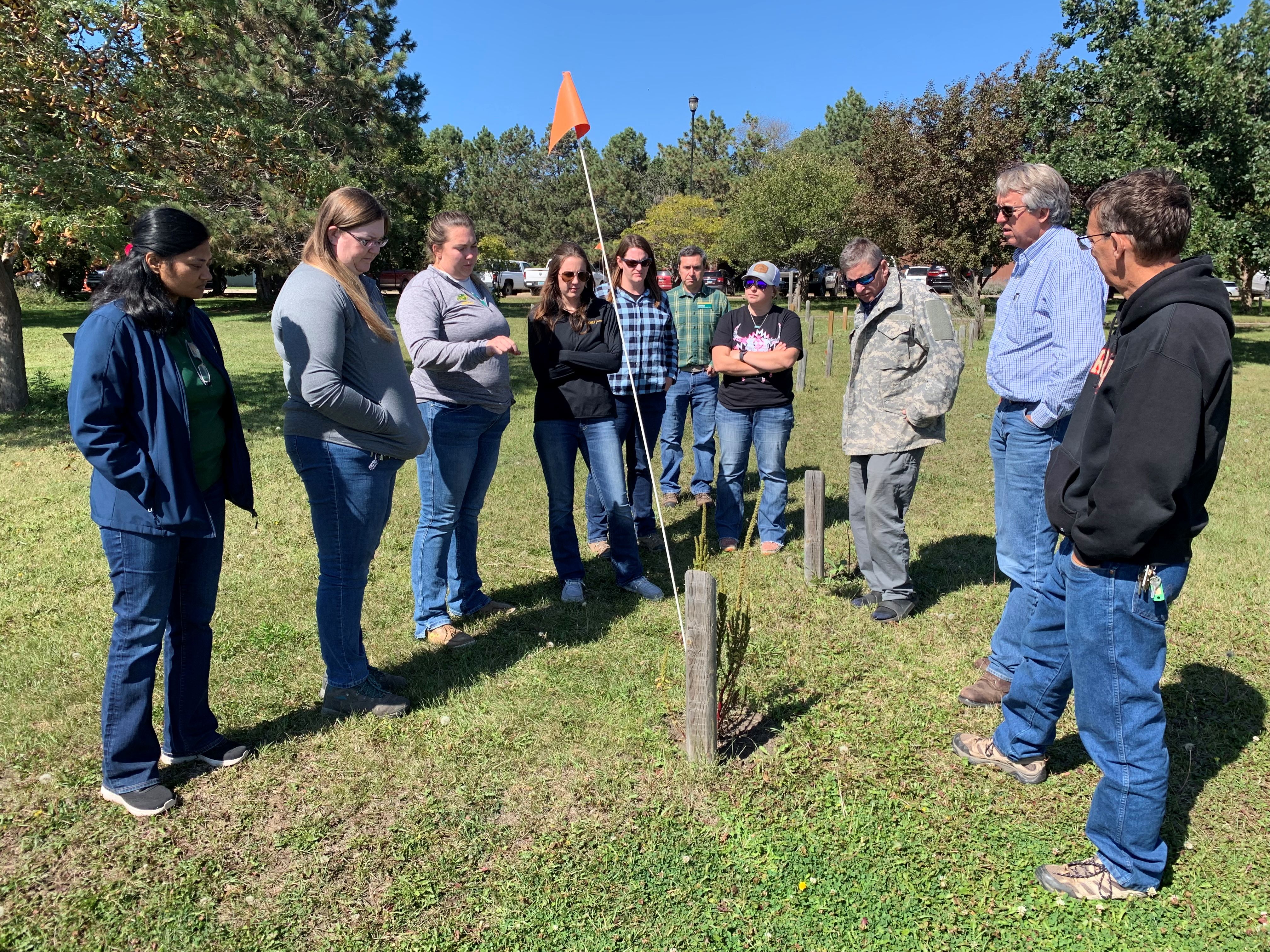Several people are outdoors, inspecting weed plants.